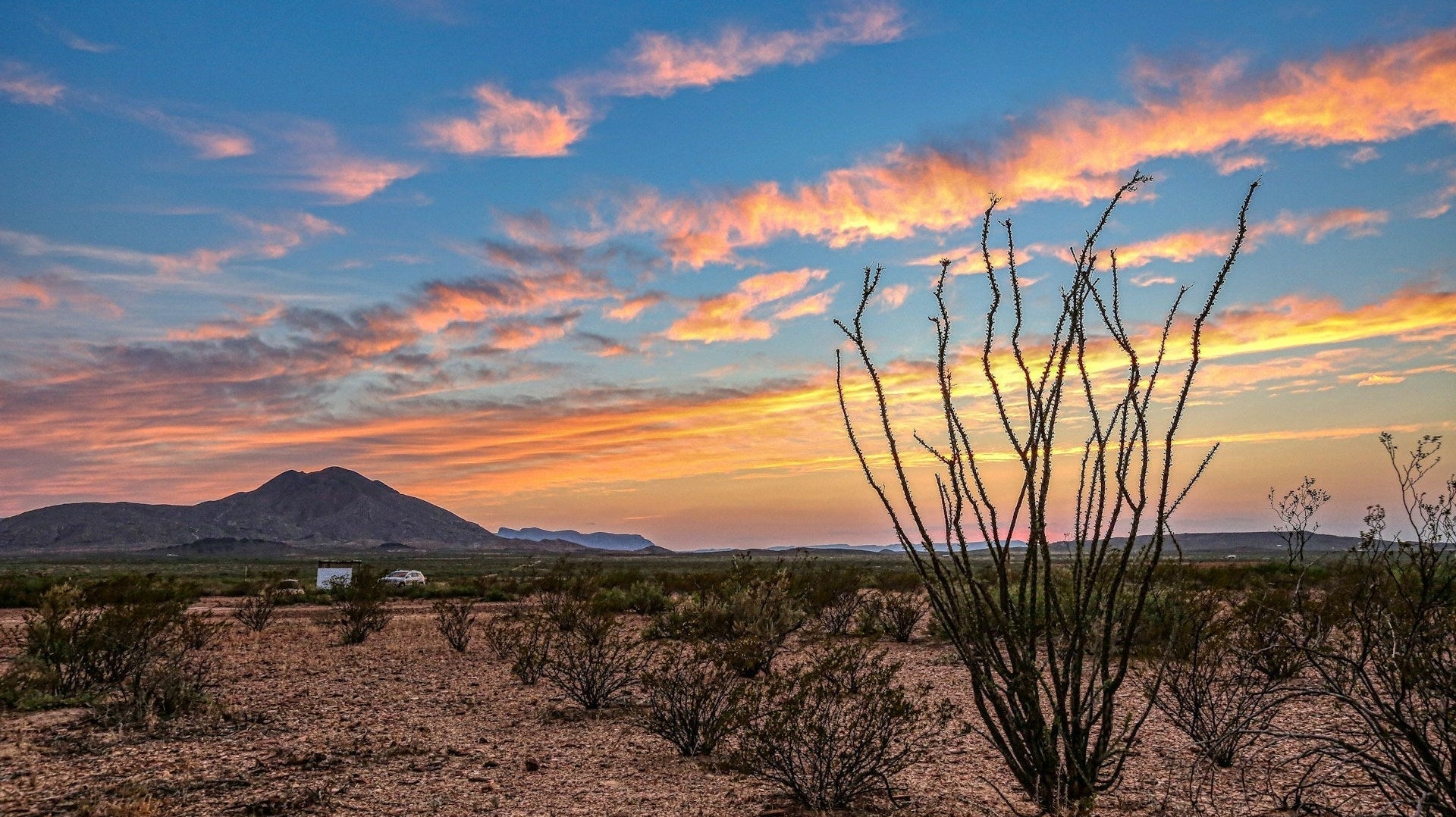 The 4 Regions Of Texas: Exploring The Lone Star State - Muir Way