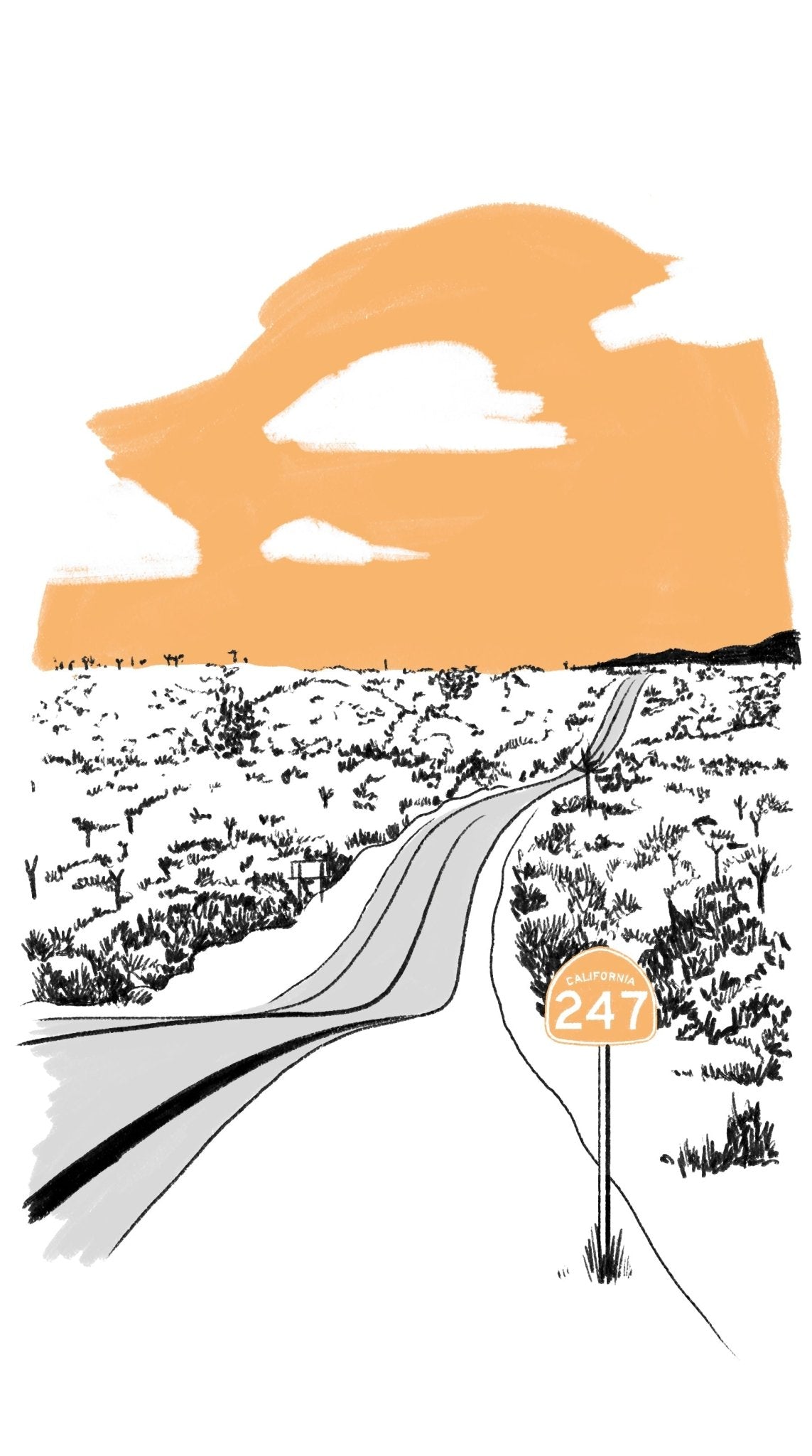 JOSHUA TREE NATIONAL PARK - Muir Way - Field Guides