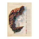 Alpi Occidentali 1908 Shaded Relief Map - Muir Way - Vintage Relief