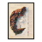 Alpi Occidentali 1908 Shaded Relief Map - Muir Way - Vintage Relief