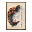 Alpi Occidentali 1908 Shaded Relief Map - Muir Way - Vintage Relief