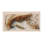 Alps 1965 Shaded Relief Map - Muir Way - Vintage Relief
