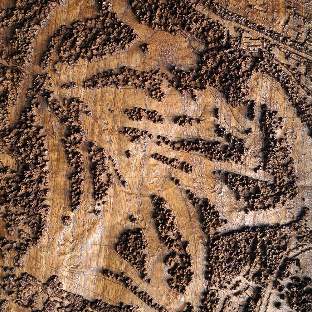 Augusta National, Georgia – 3D Wood - Carved Map - Muir Way - Custom