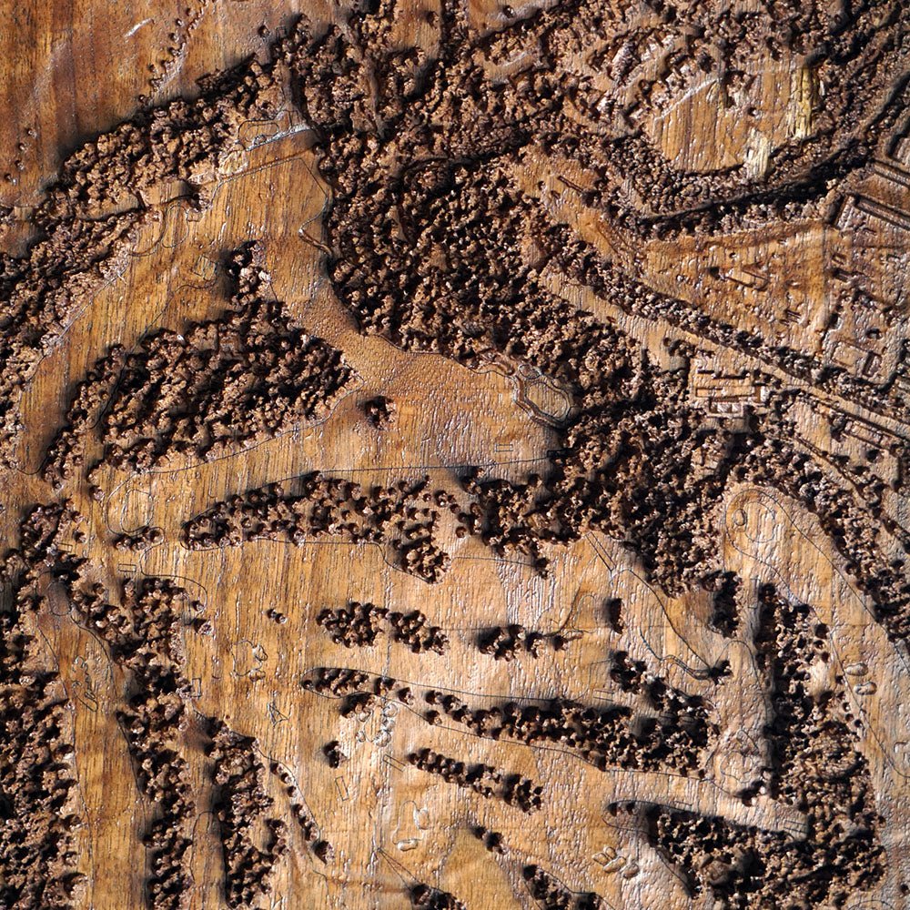 Augusta National, Georgia – 3D Wood - Carved Map - Muir Way - Custom