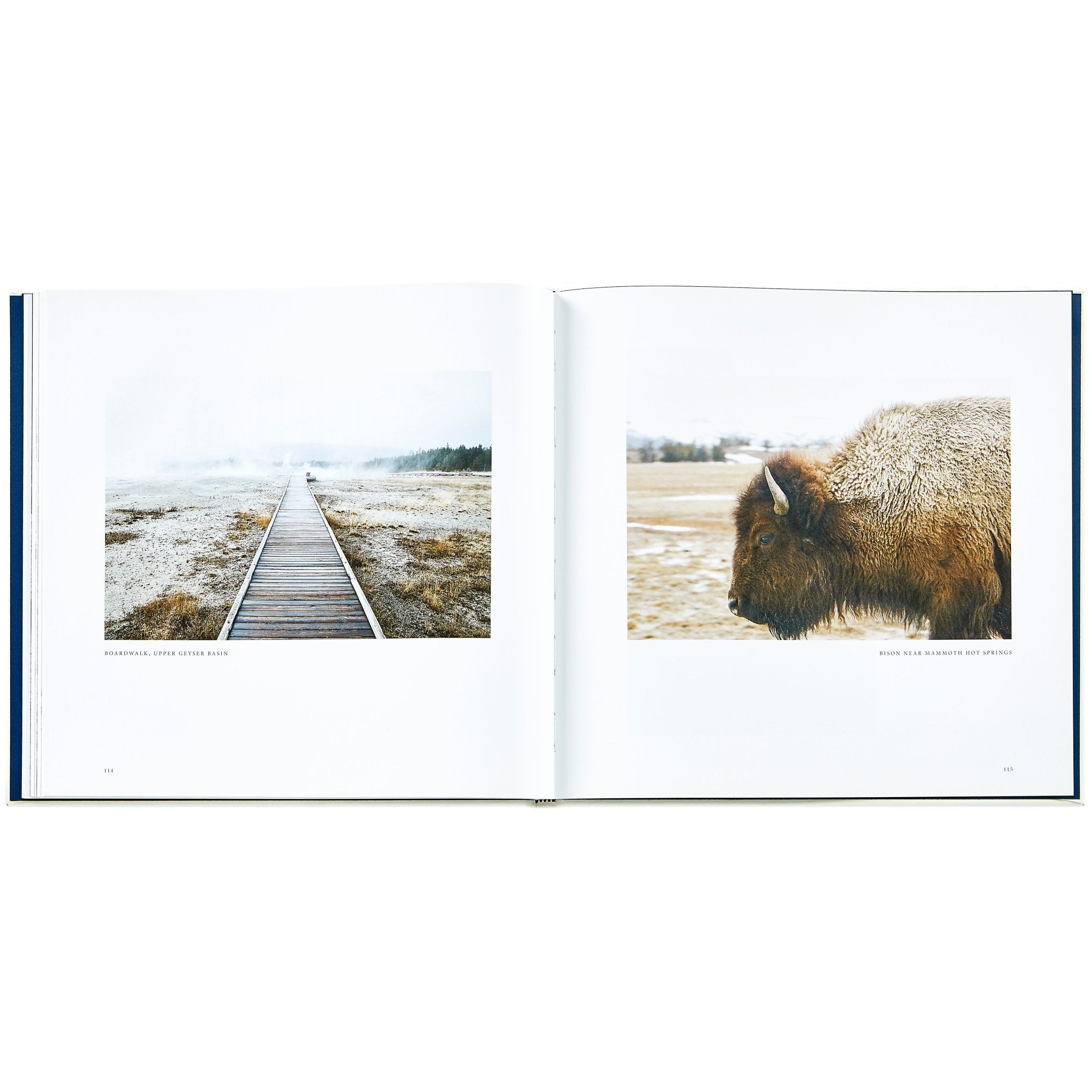 Yellowstone: A Land of Wild and Wonder - Muir Way - Books
