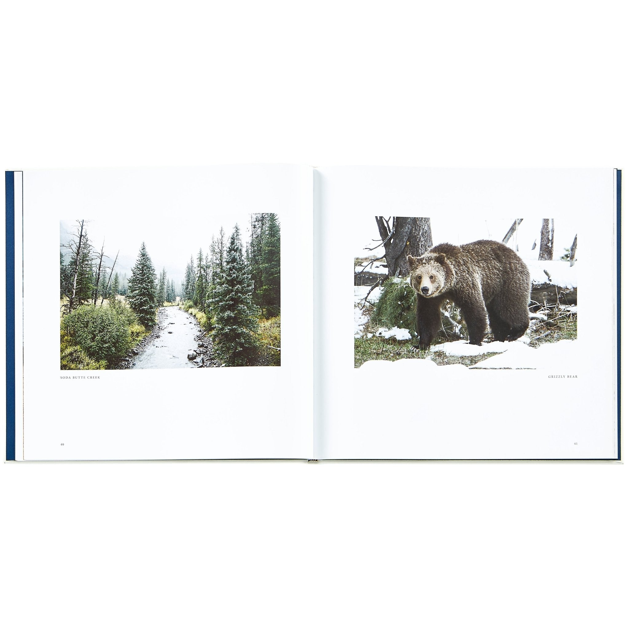 Yellowstone: A Land of Wild and Wonder - Muir Way - Books
