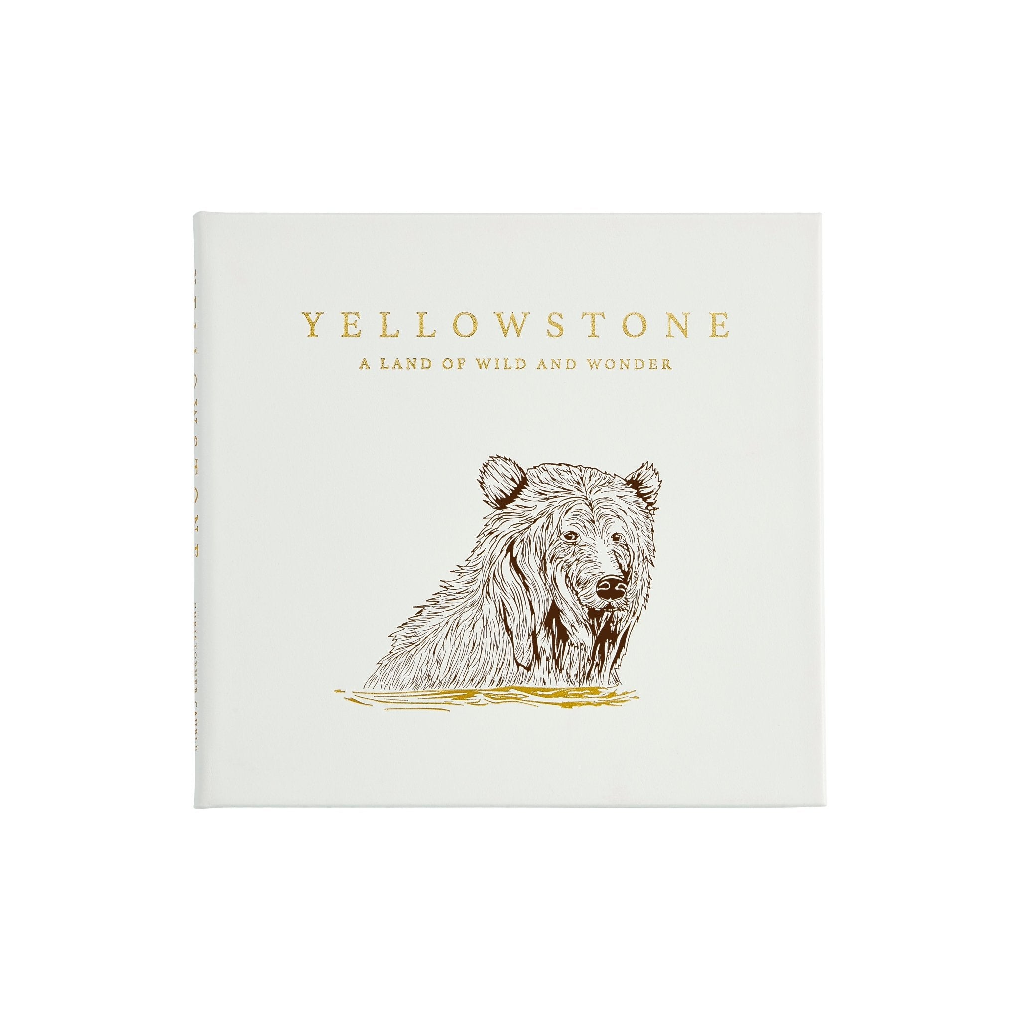 Yellowstone: A Land of Wild and Wonder - Muir Way - Books