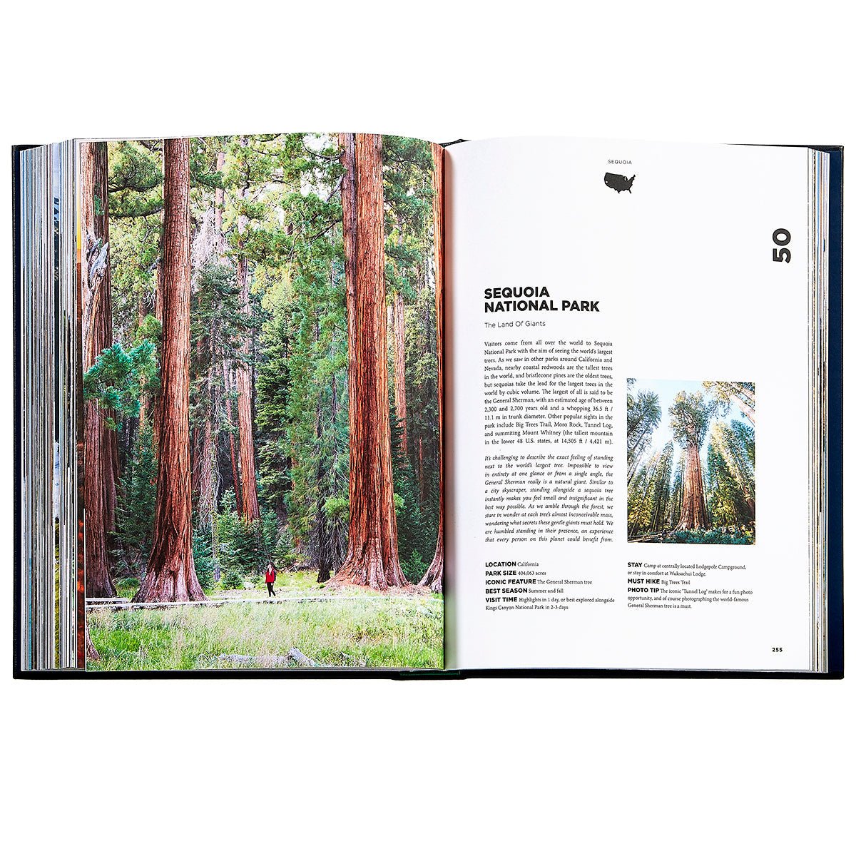 Roaming America - Muir Way - Books