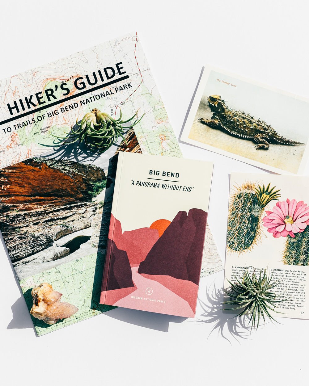 BIG BEND NATIONAL PARK - Muir Way - Field Guides