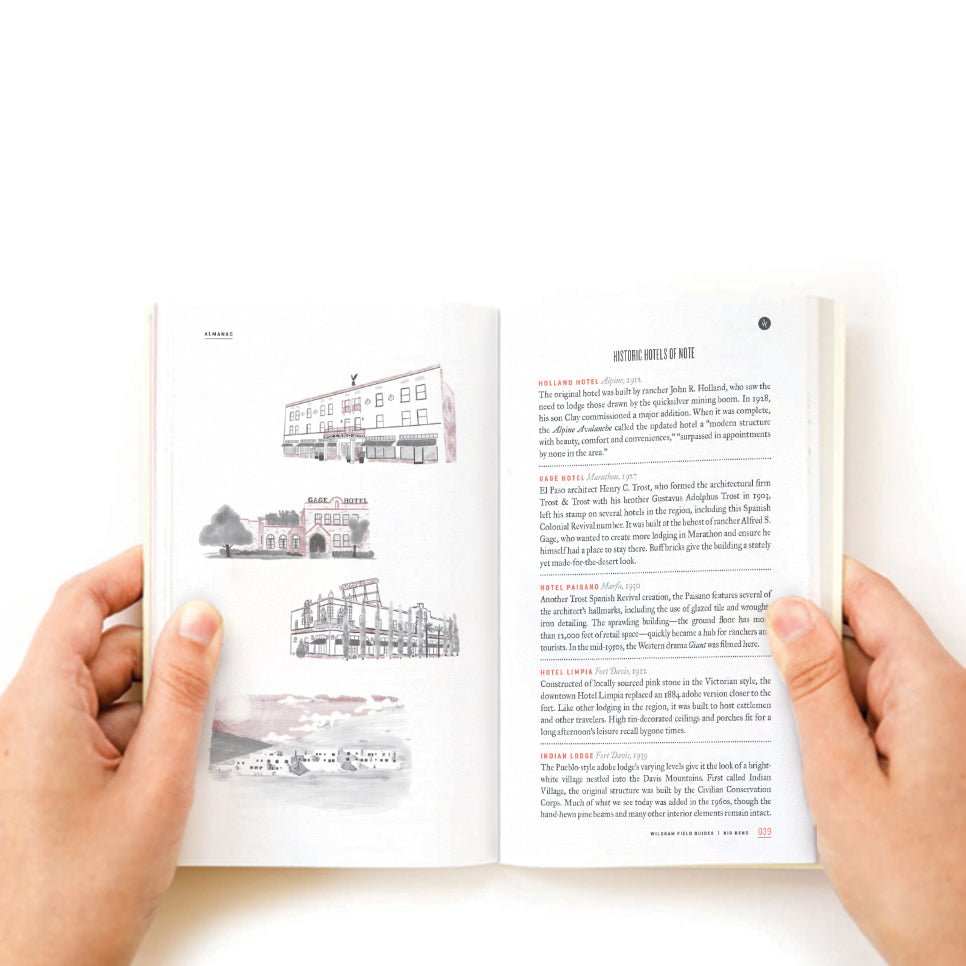 BIG BEND NATIONAL PARK - Muir Way - Field Guides