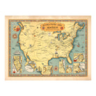 Booklovers Map of America - Muir Way - Vintage Map