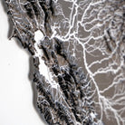California Hydrological - 3D Raised Relief Map - Muir Way - 3D