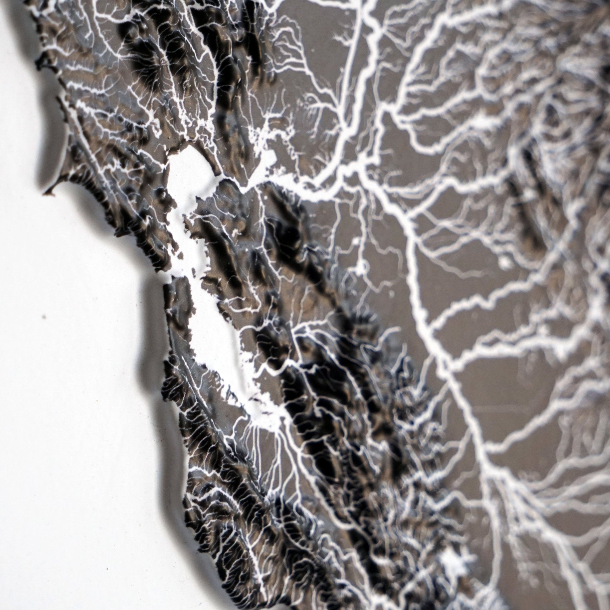 California Hydrological - 3D Raised Relief Map - Muir Way - 3D