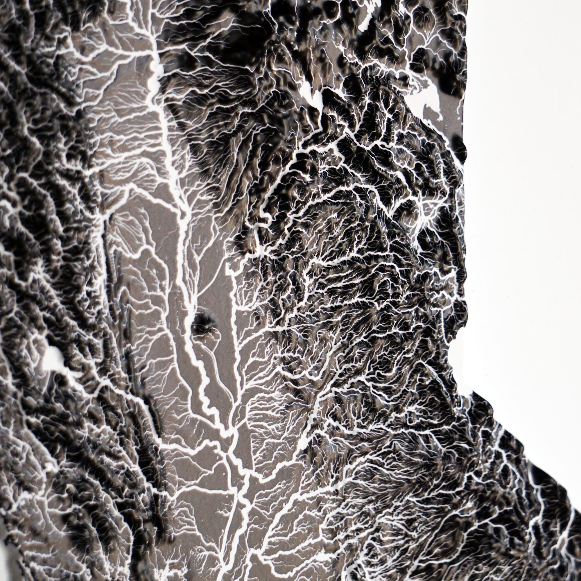 California Hydrological - 3D Raised Relief Map - Muir Way - 3D