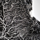 California Hydrological - 3D Raised Relief Map - Muir Way - 3D