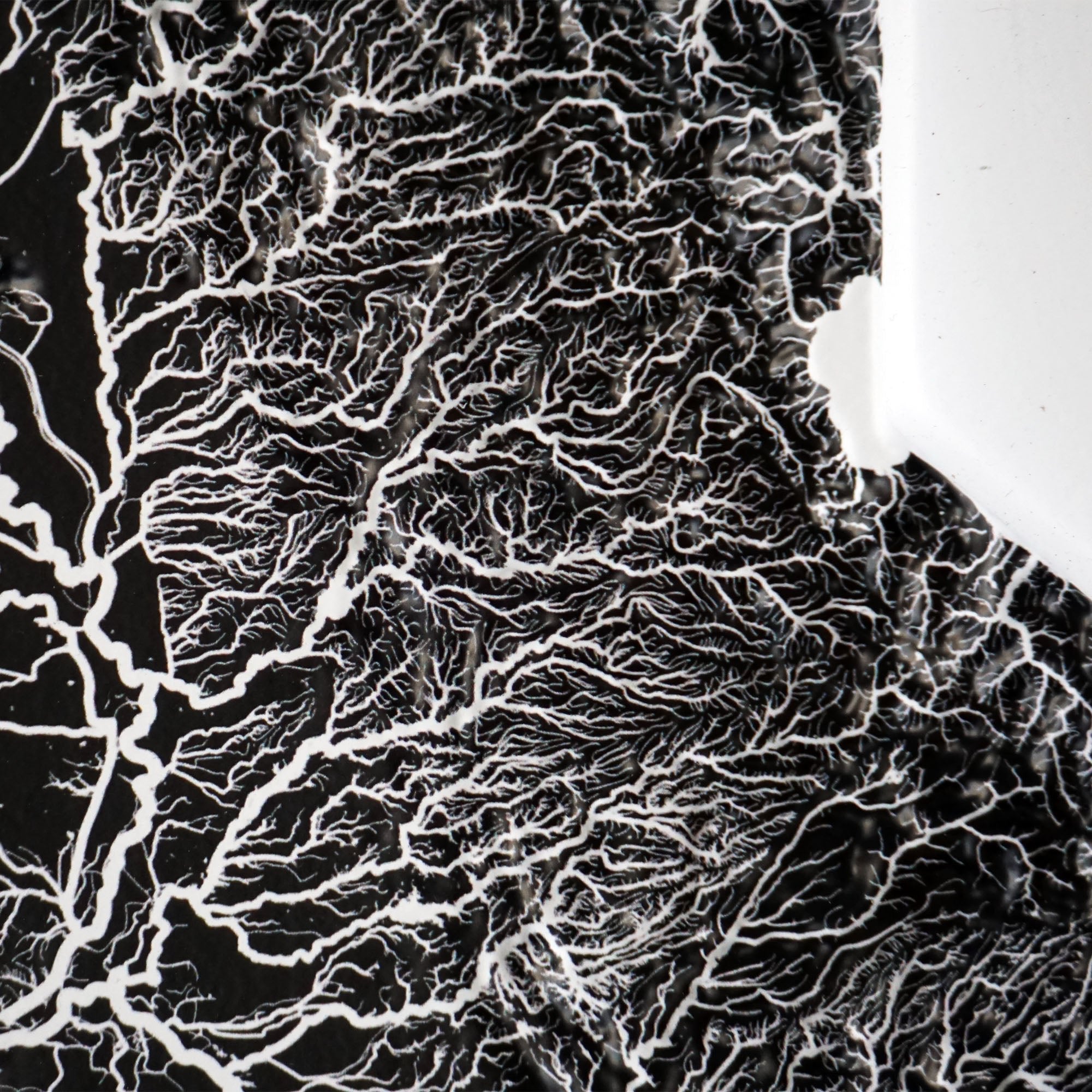 California Hydrological - 3D Raised Relief Map - Muir Way - 3D