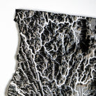 California Hydrological - 3D Raised Relief Map - Muir Way - 3D