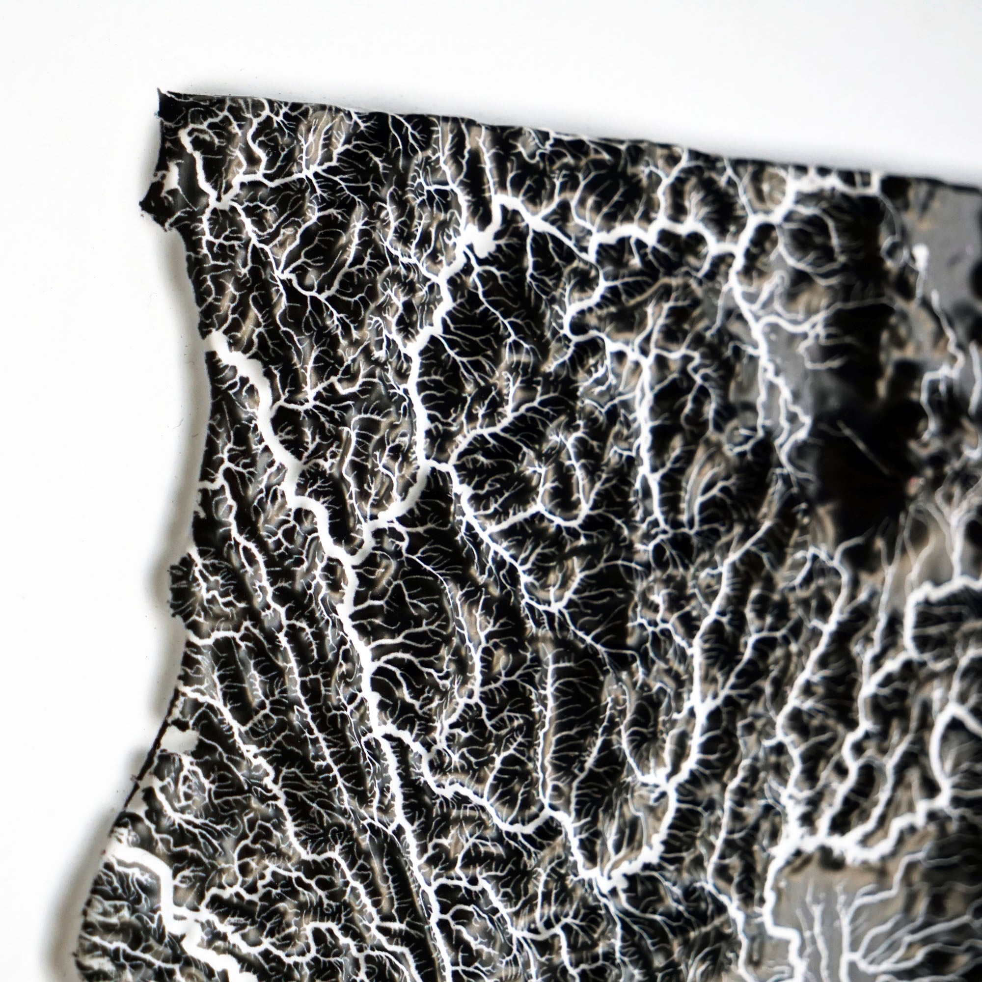 California Hydrological - 3D Raised Relief Map - Muir Way - 3D