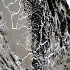 California Hydrological - 3D Raised Relief Map - Muir Way - 3D