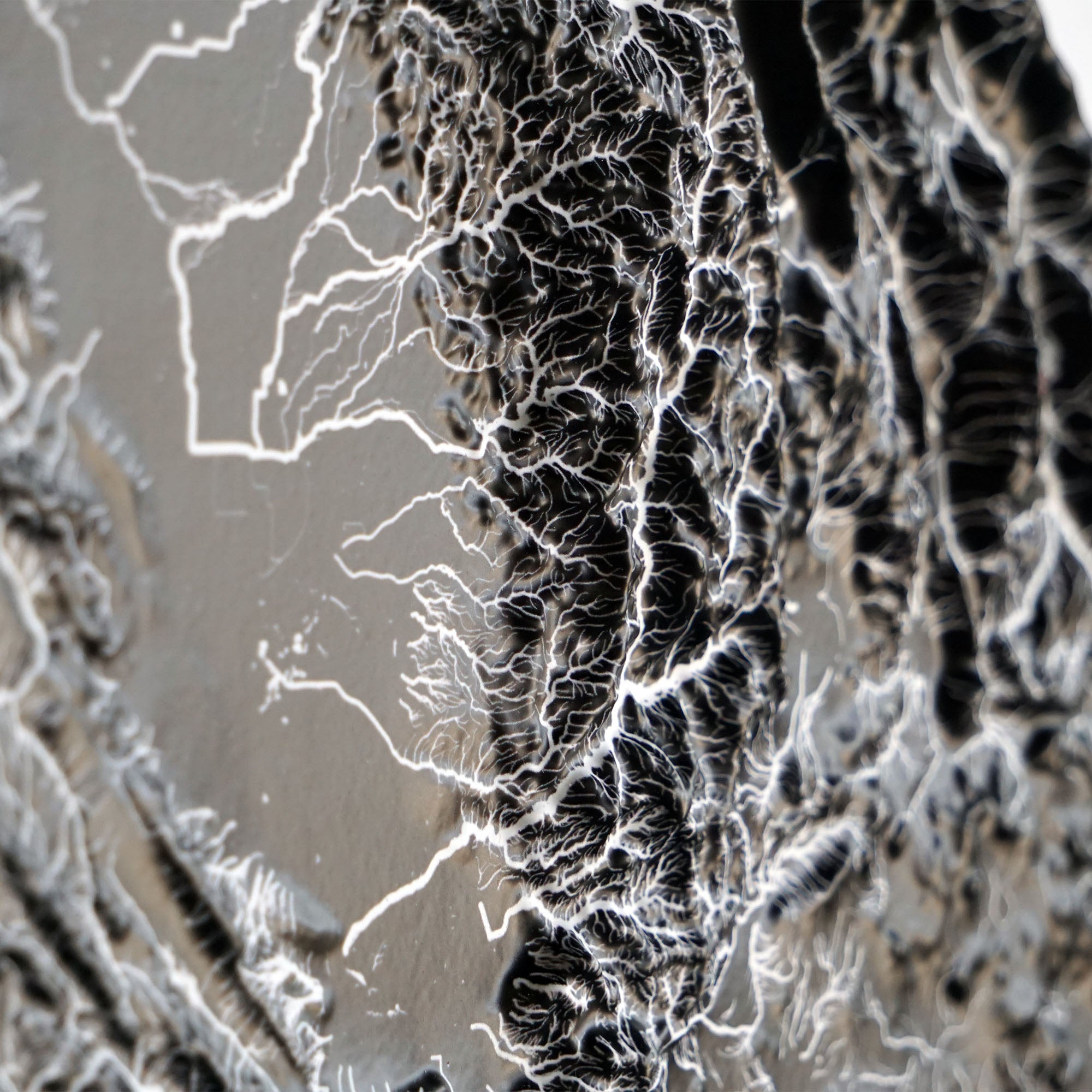 California Hydrological - 3D Raised Relief Map - Muir Way - 3D