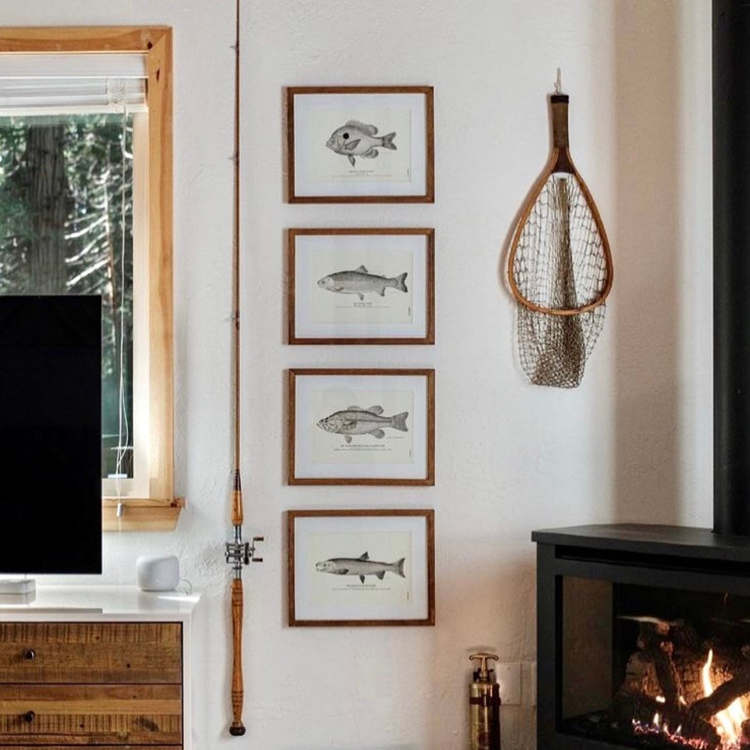 Various Crabs Art Print - Muir Way - Fisheries