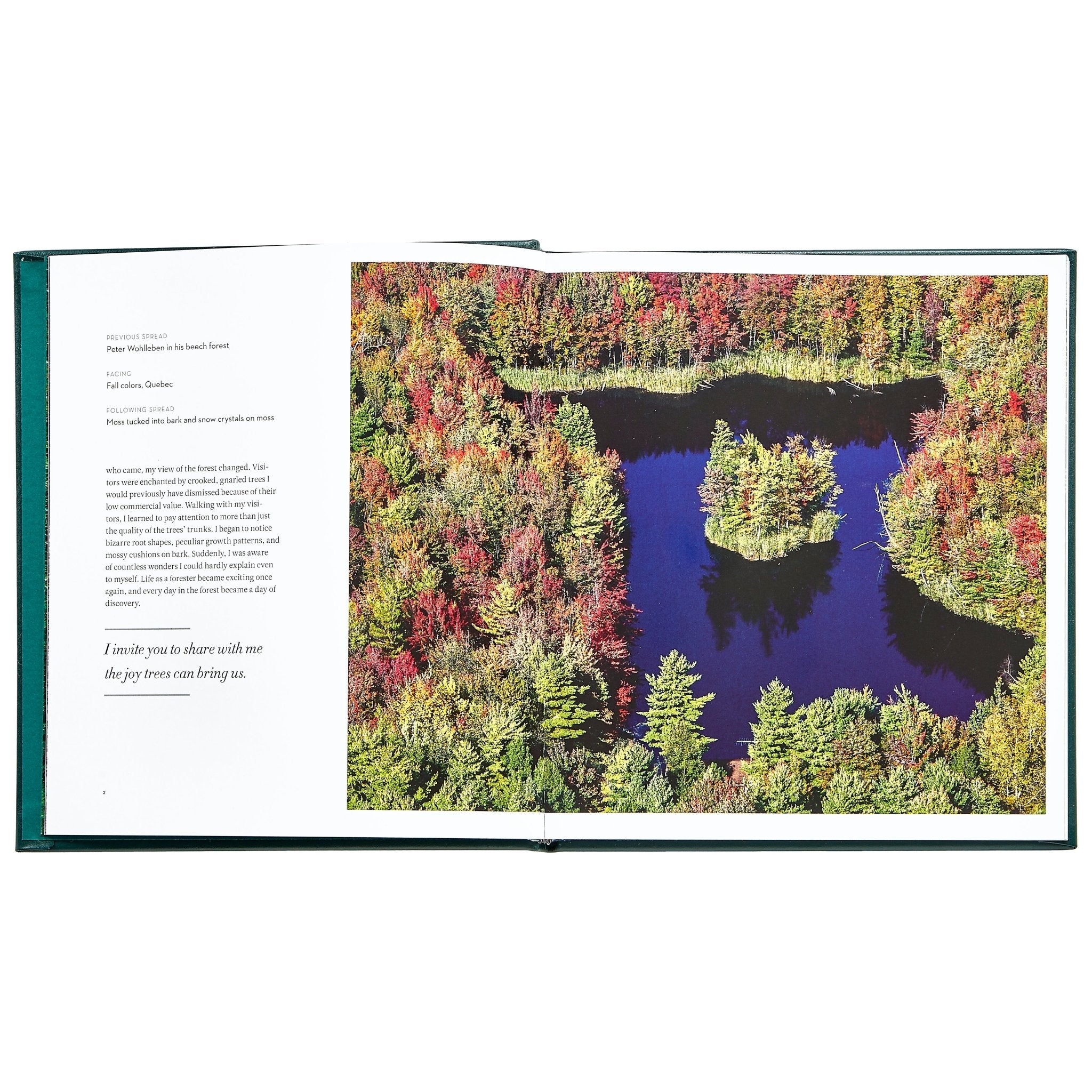 The Hidden Life of Trees - Muir Way - Books