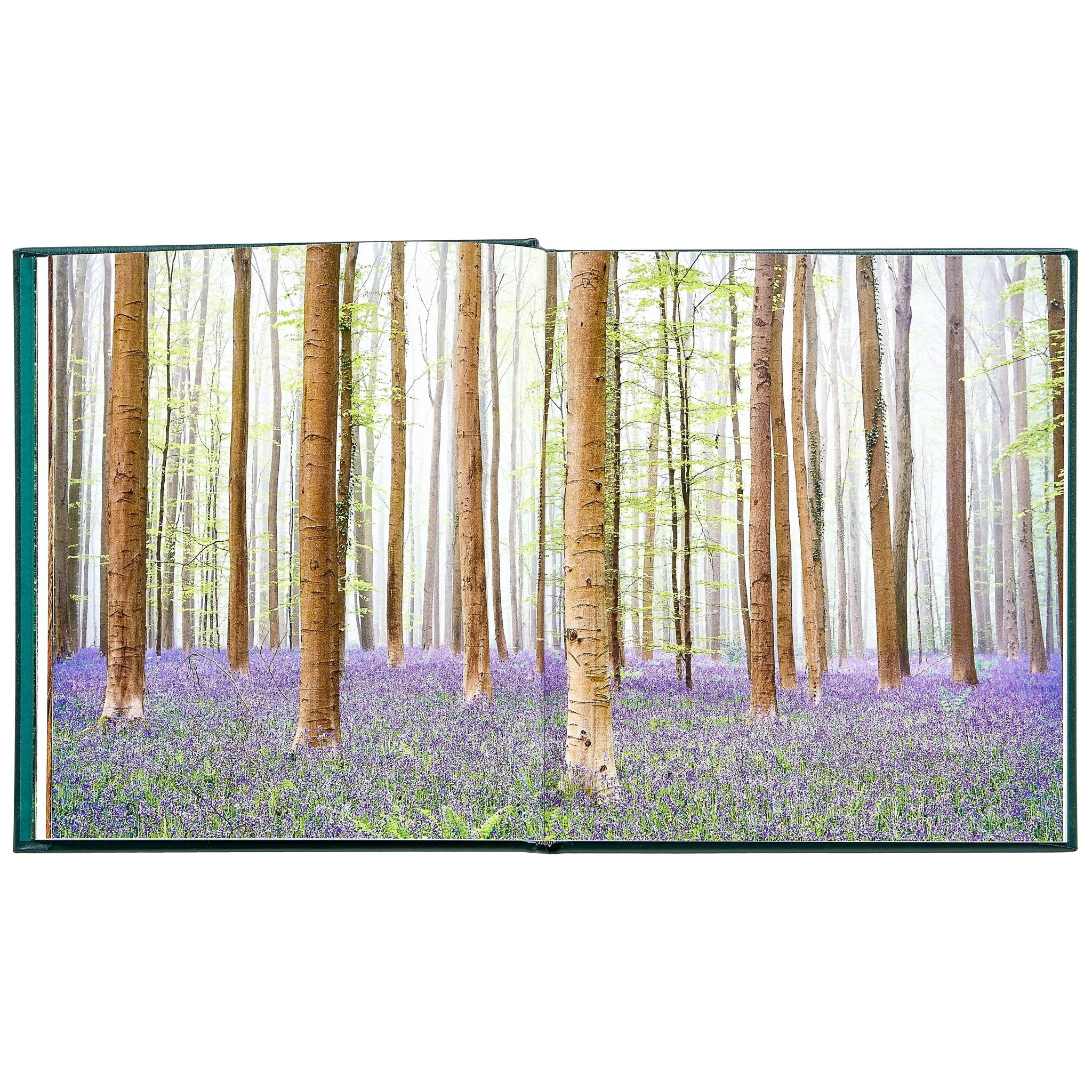 The Hidden Life of Trees - Muir Way - Books