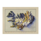 Iceland 1901 Shaded Relief Map - Muir Way - Vintage Relief