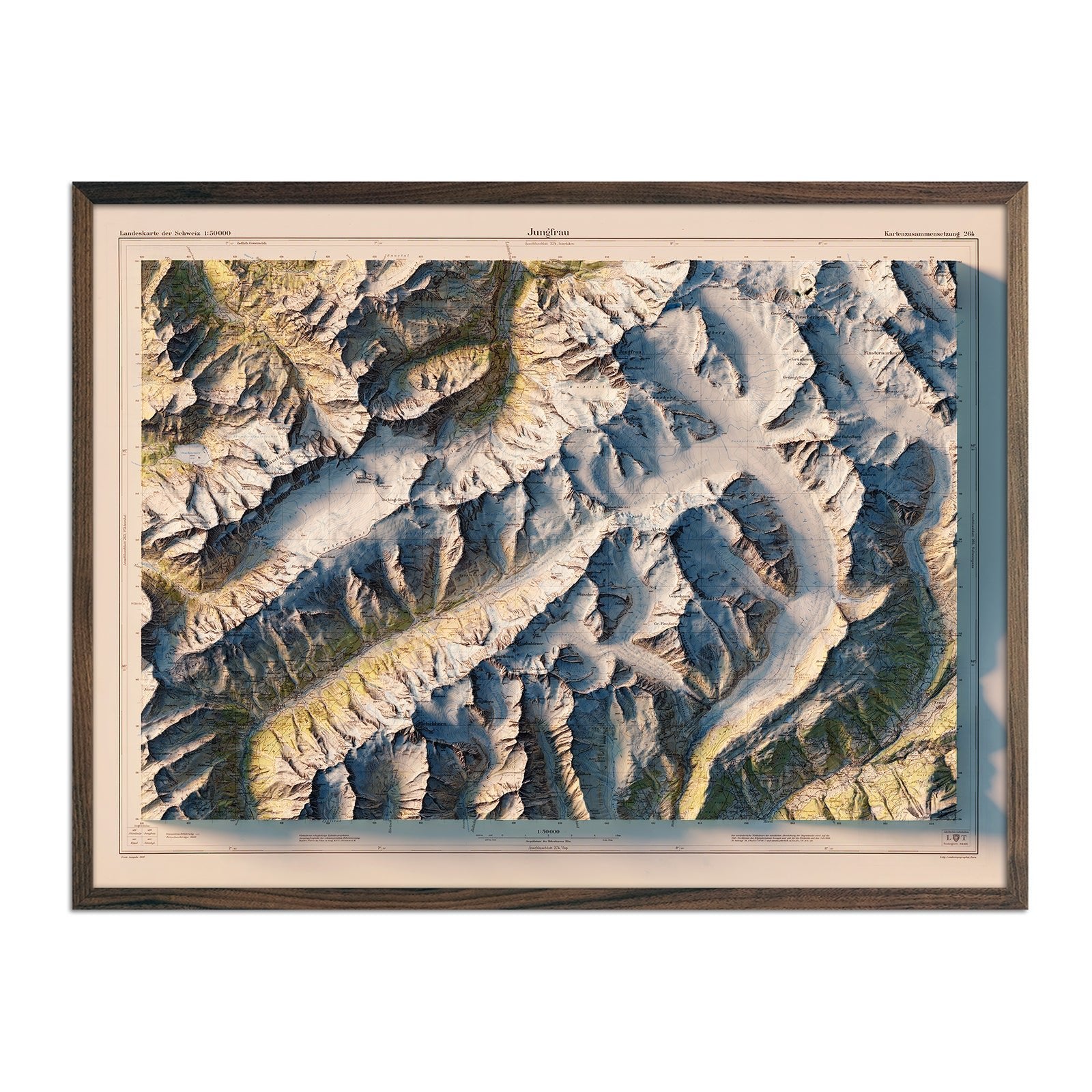 Jungfrau 1956 Shaded Relief Map - Muir Way - Vintage Relief
