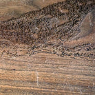 Kiawah Island, Ocean Course, SC – 3D Wood - Carved Map - Muir Way - Custom