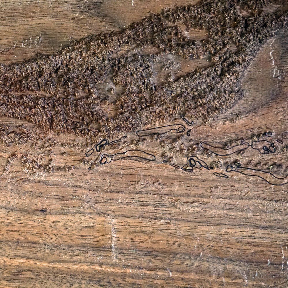 Kiawah Island, Ocean Course, SC – 3D Wood - Carved Map - Muir Way - Custom