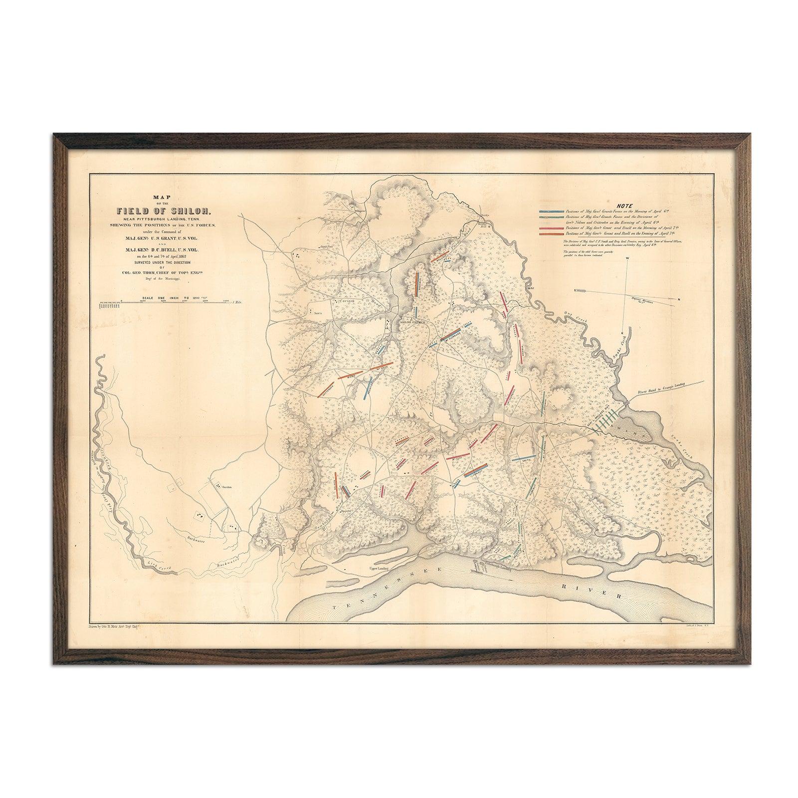 Field of Shiloh - Muir Way - Vintage Map