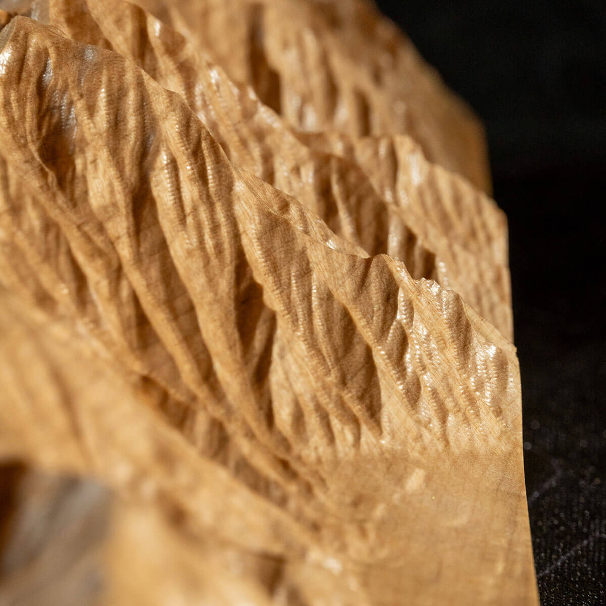 Custom Wood Carved Map - Muir Way - Custom