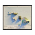 Maui 1961 Shaded Relief Map - Muir Way - Vintage Relief