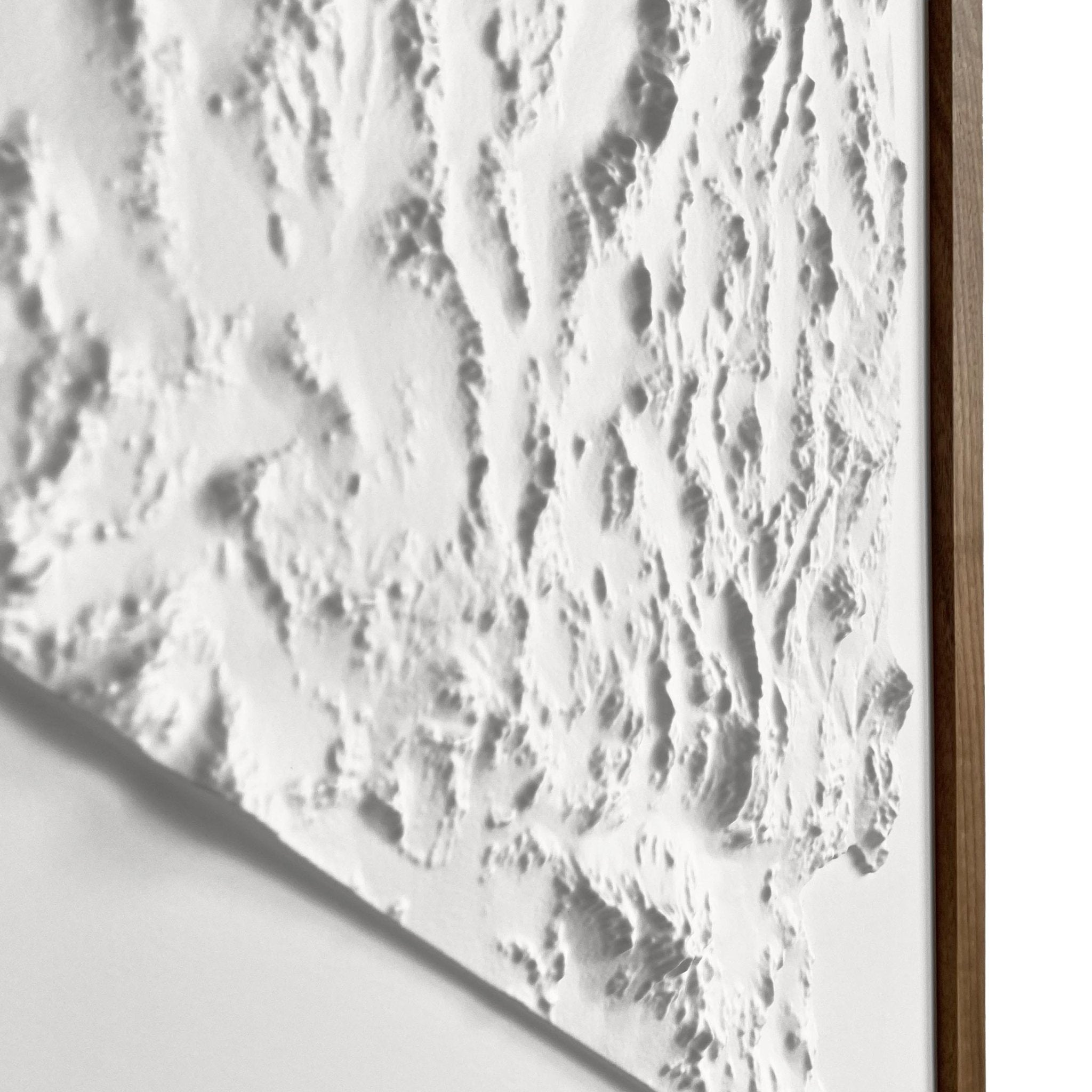 Nevada 3D Raised Relief Map - Muir Way - 3D