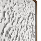 Nevada 3D Raised Relief Map - Muir Way - 3D