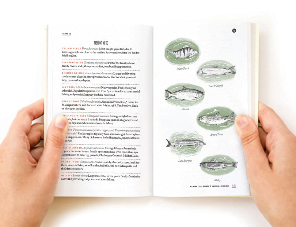 NORTHERN MICHIGAN - Muir Way - Field Guides