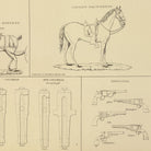 Ordnance, Stores, etc. of the Civil War - Muir Way - Vintage Map