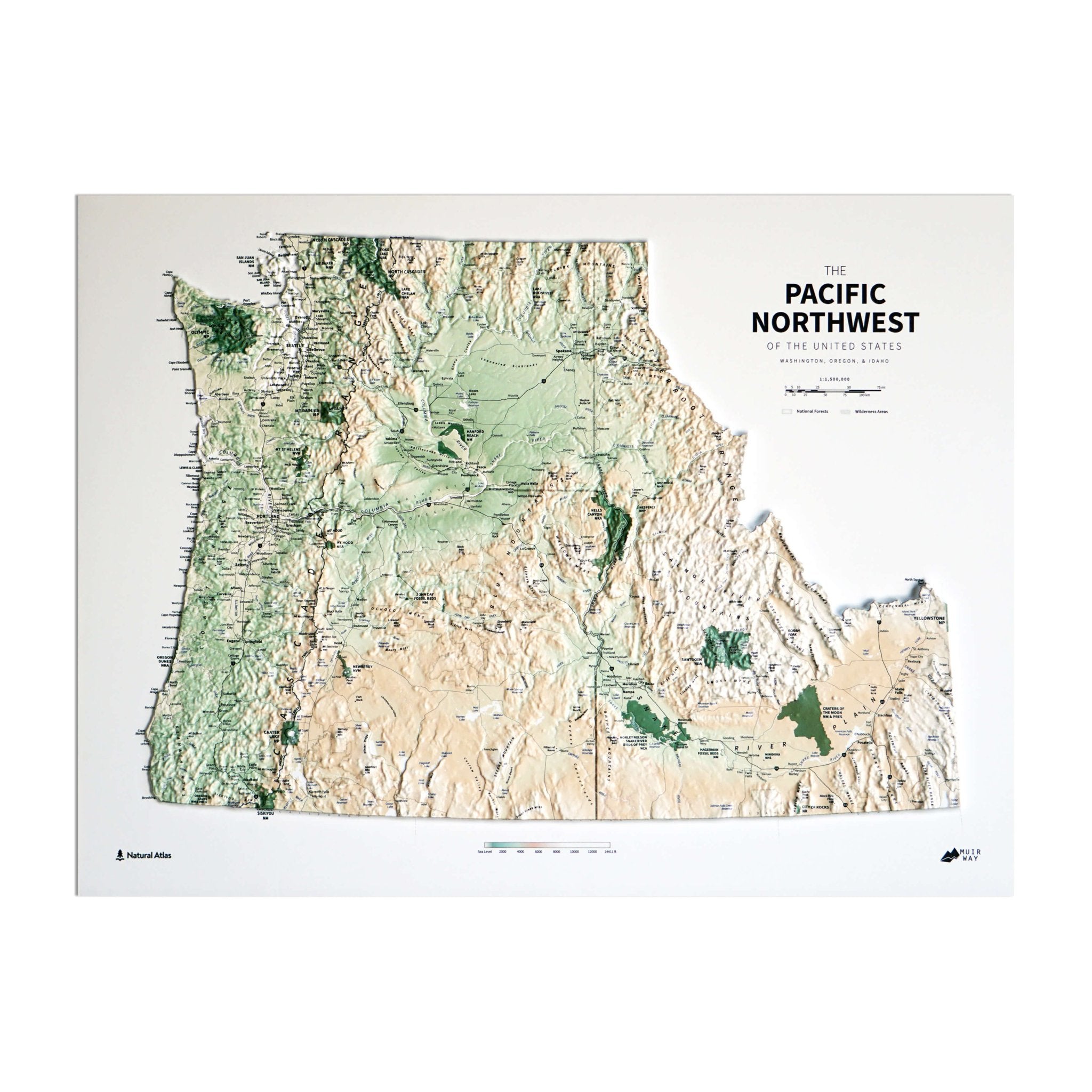 Pacific Northwest 3D Raised Relief Map - Muir Way - Natural Atlas