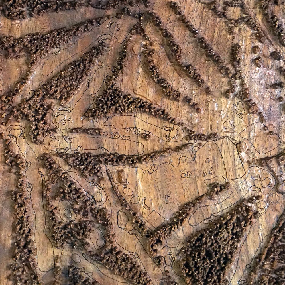 Pinehurst No. 2, North Carolina – 3D Wood - Carved Map - Muir Way - Custom