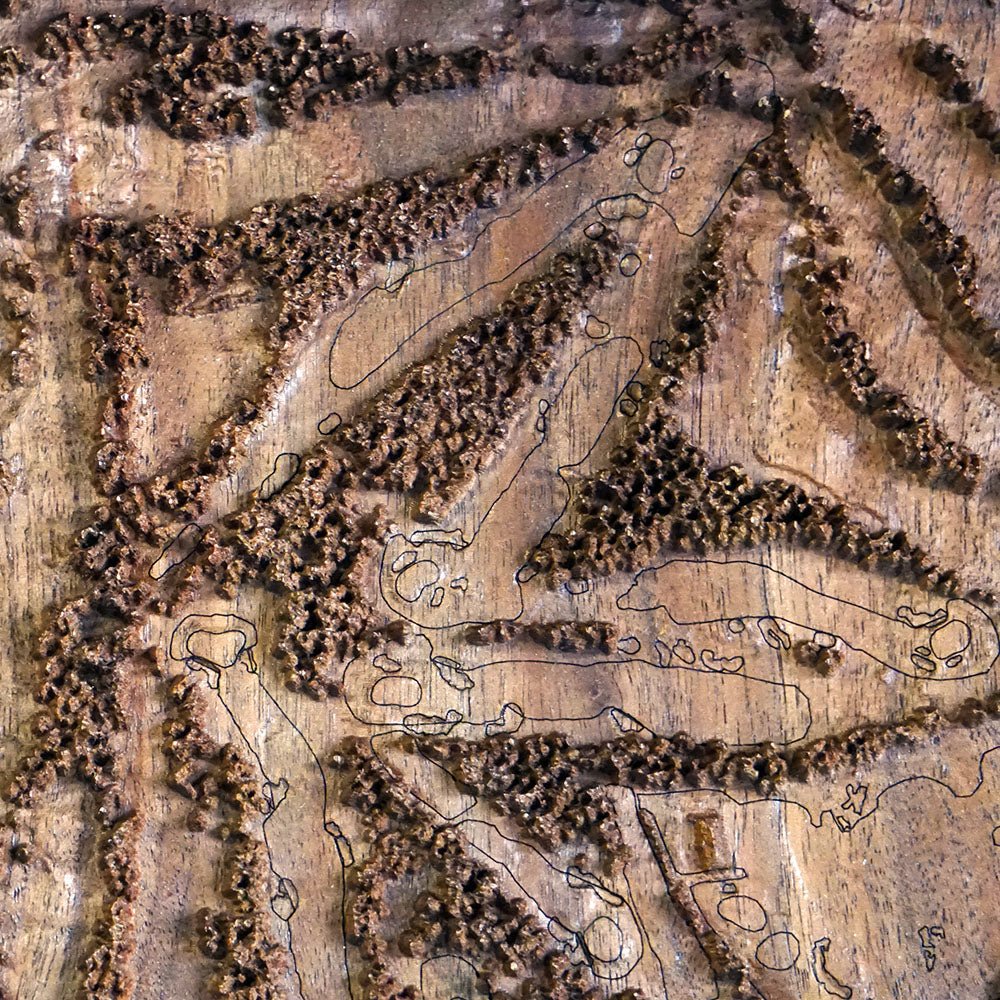 Pinehurst No. 2, North Carolina – 3D Wood - Carved Map - Muir Way - Custom