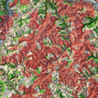 Pittsburgh, Pennsylvania 1960 Shaded Relief Map - Muir Way - Vintage Relief