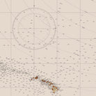 San Diego to Bering Sea and Hawaiian Islands Nautical Chart 1934 - Muir Way - Vintage Map