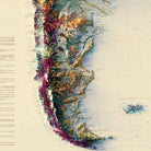South America 1950 Shaded Relief Map - Muir Way - Vintage Relief