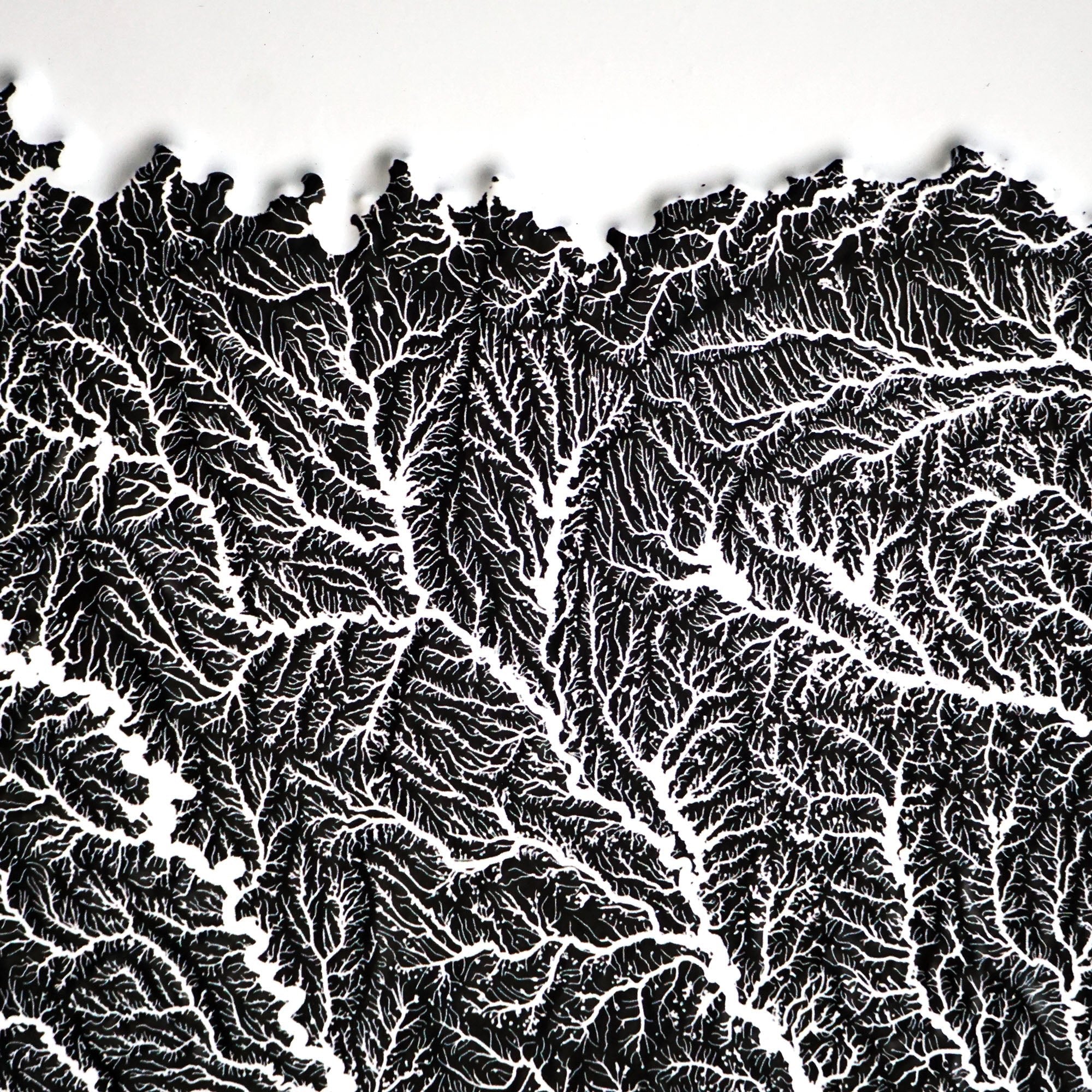 Texas Hydrological - 3D Raised Relief Map - Muir Way - 3D