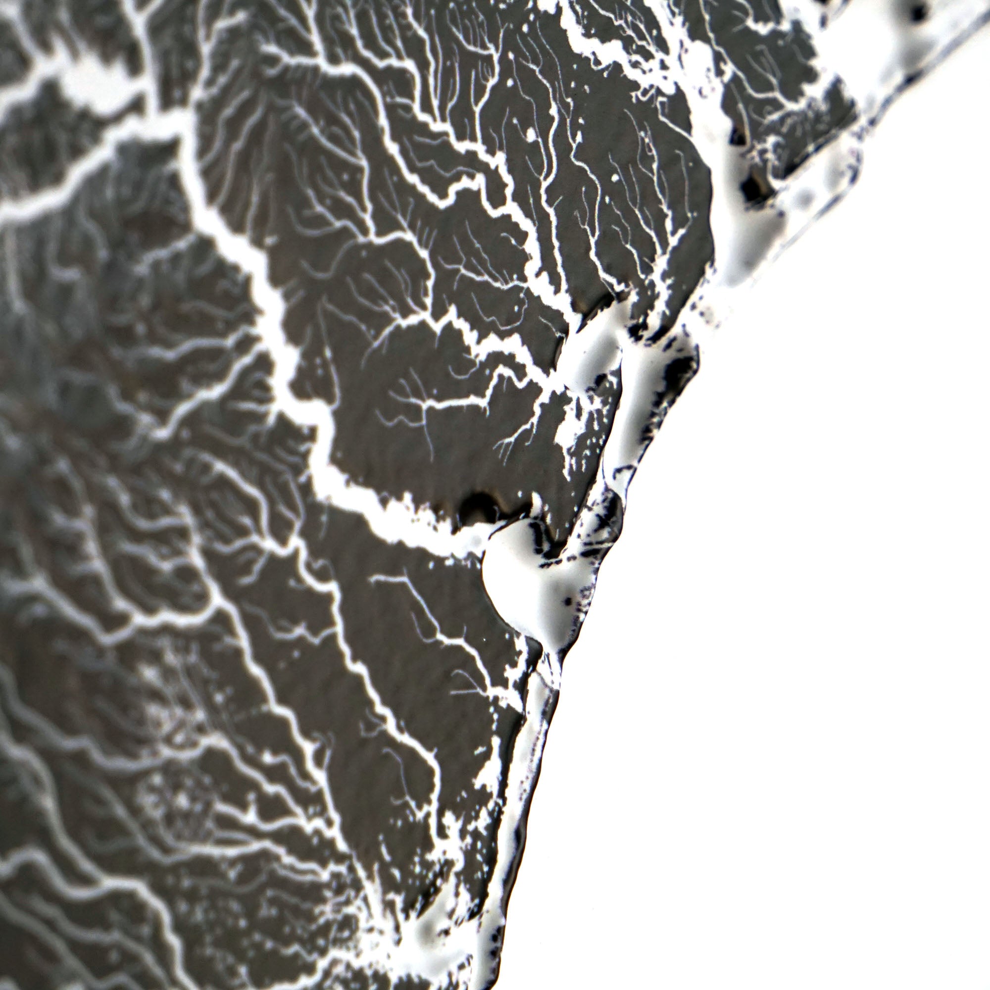 Texas Hydrological - 3D Raised Relief Map - Muir Way - 3D