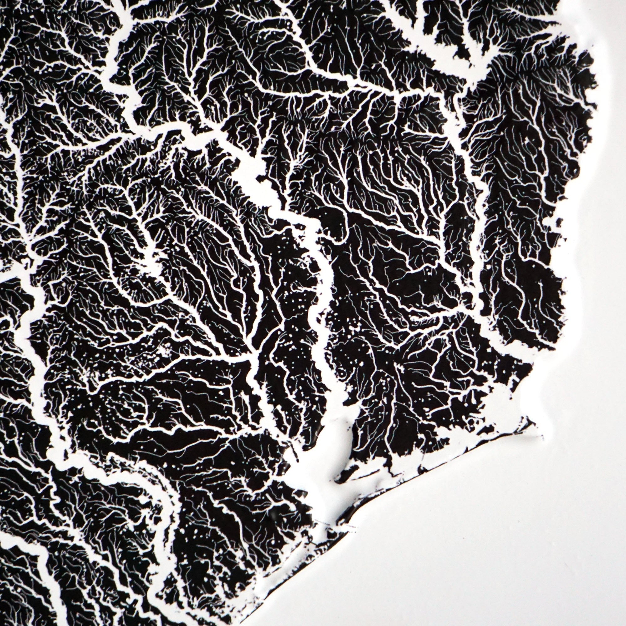 Texas Hydrological - 3D Raised Relief Map - Muir Way - 3D