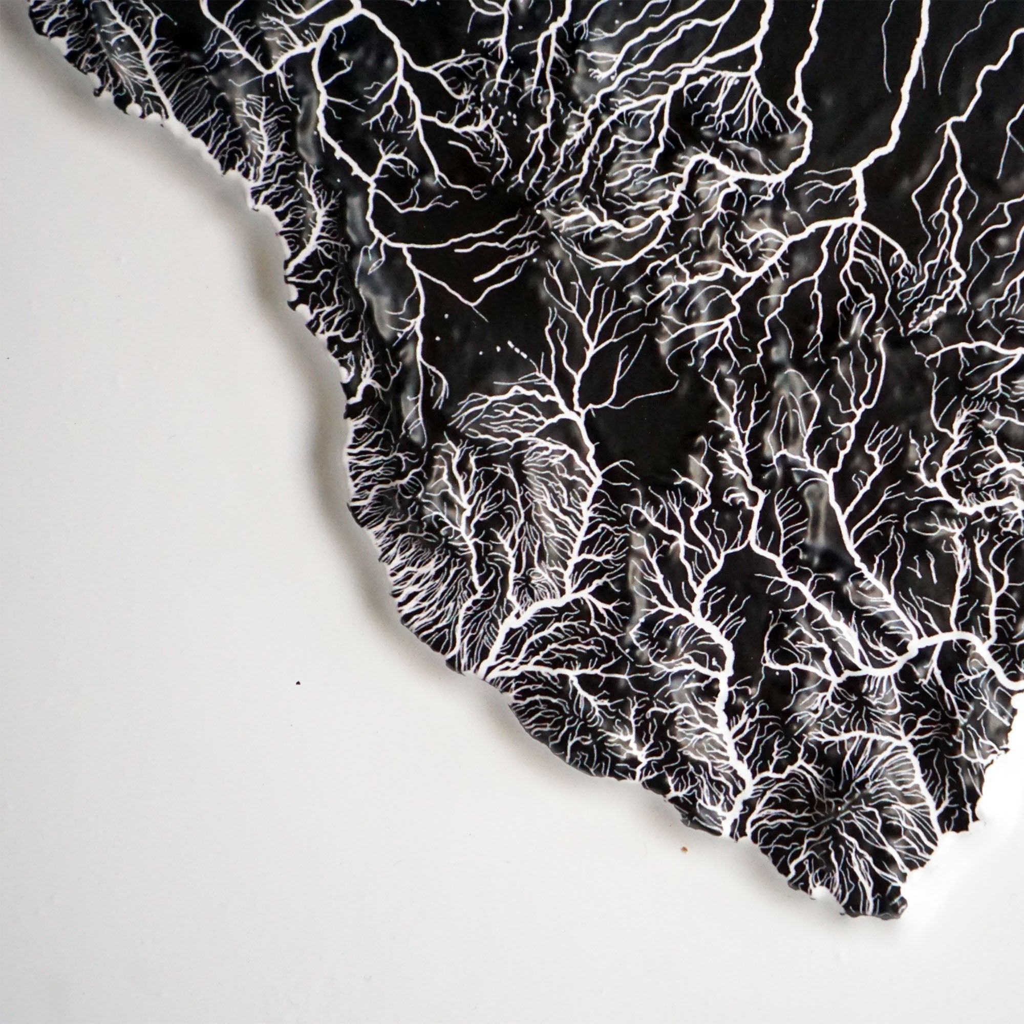 Texas Hydrological - 3D Raised Relief Map - Muir Way - 3D