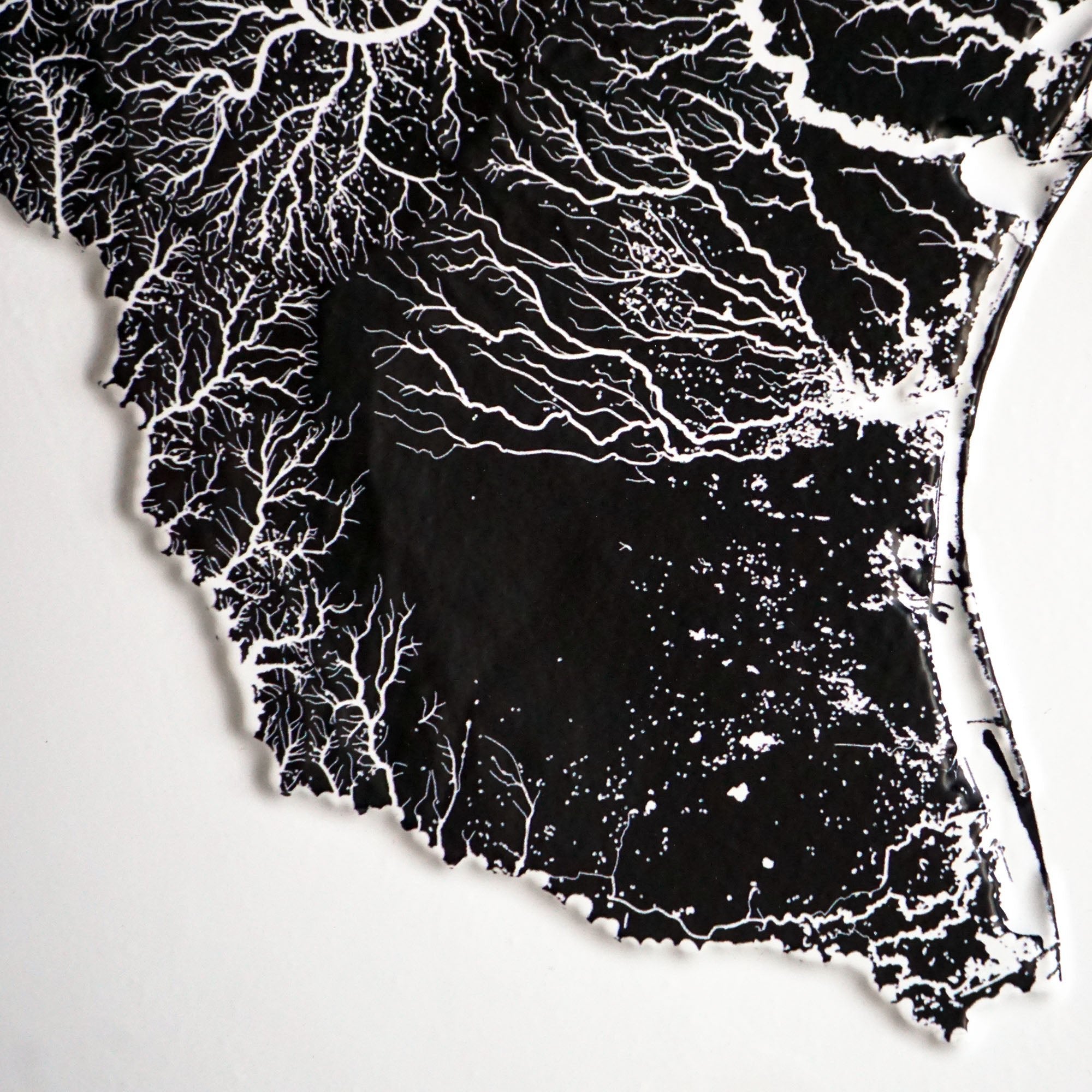 Texas Hydrological - 3D Raised Relief Map - Muir Way - 3D