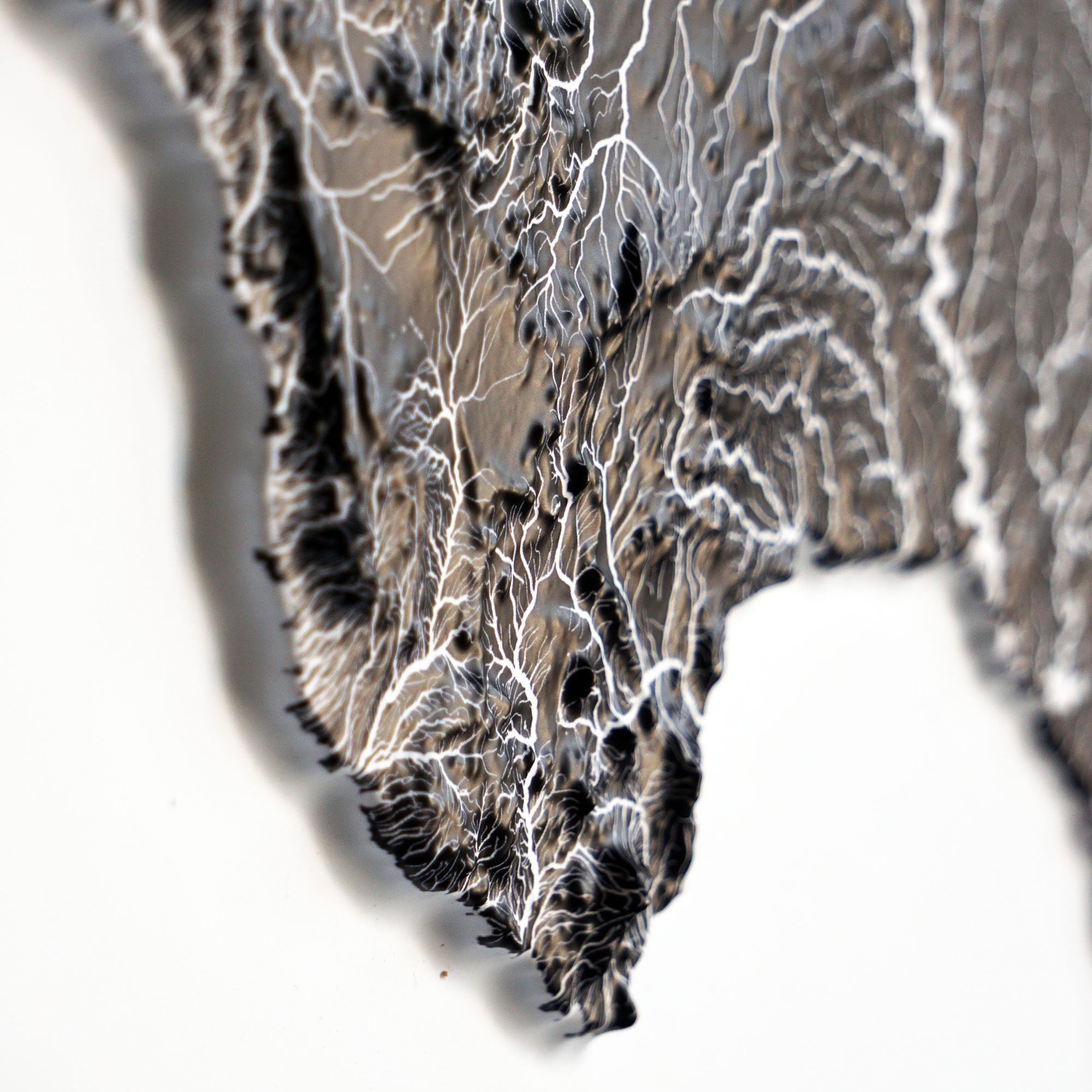 Texas Hydrological - 3D Raised Relief Map - Muir Way - 3D